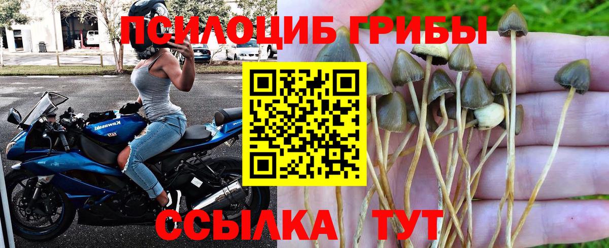 Псилоцибиновые грибы Magic Shrooms Славгород
